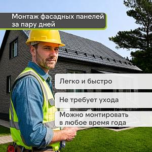 Панель Docke СТАНДАРТ ДЮФУР 1167х449мм 0.43м2  — Ишгль
