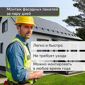 Панель Docke СТАНДАРТ ДЮФУР 1167х449мм 0.43м2  — Зёльден