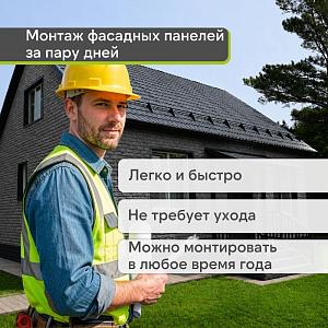 Панель Docke СТАНДАРТ ДЮФУР 1167х449мм 0.43м2  — Давос